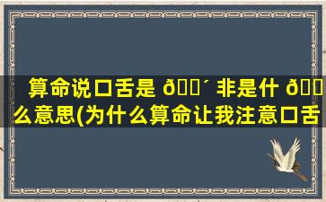 算命说口舌是 🌴 非是什 🐘 么意思(为什么算命让我注意口舌之争)